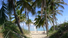 Enlarge photo 3963