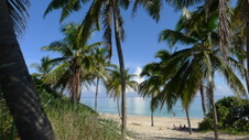 Enlarge photo 3964