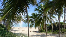 Enlarge photo 3965