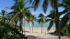 Enlarge photo 3966