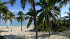 Enlarge photo 3967