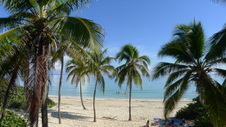 Enlarge photo 3968