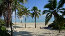 Enlarge photo 3969