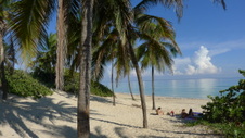 Enlarge photo 3971