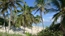 Enlarge photo 3972