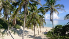 Enlarge photo 3973