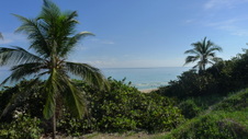 Enlarge photo 3974