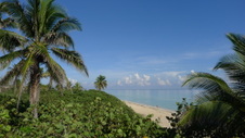 Enlarge photo 3975