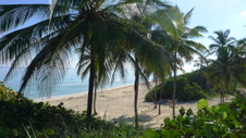 Enlarge photo 3976