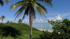 Enlarge photo 3977