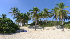 Enlarge photo 3978