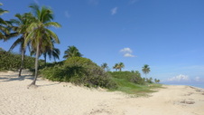 Enlarge photo 3979