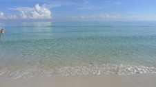 Enlarge photo 3980