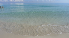 Enlarge photo 3981