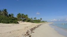 Enlarge photo 3983