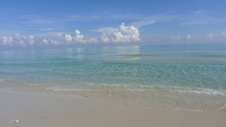 Enlarge photo 3984