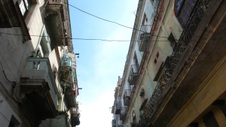Enlarge photo 3515