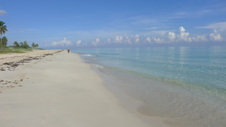 Enlarge photo 3985