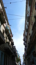Enlarge photo 3519