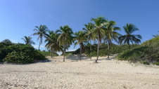 Enlarge photo 3986