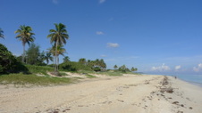 Enlarge photo 3987