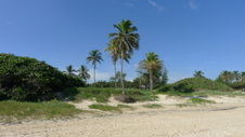 Enlarge photo 3988