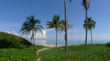 Enlarge photo 3989