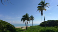 Enlarge photo 3990