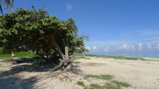 Enlarge photo 3992