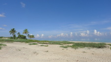 Enlarge photo 3993