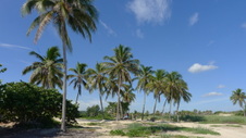 Enlarge photo 3994