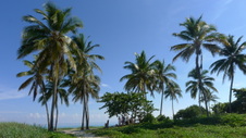 Enlarge photo 3995