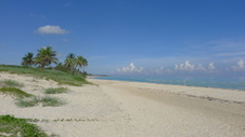 Enlarge photo 3997