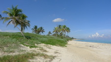 Enlarge photo 3998