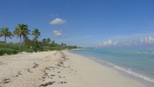 Enlarge photo 4001