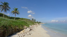 Enlarge photo 4004