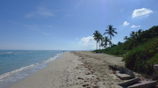 Enlarge photo 4005
