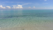 Enlarge photo 4008