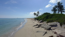 Enlarge photo 4010