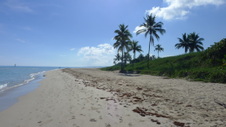 Enlarge photo 4011