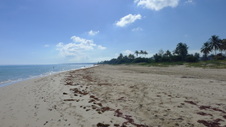Enlarge photo 4013