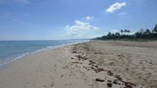 Enlarge photo 4014