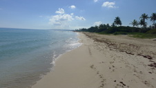 Enlarge photo 4015