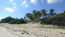 Enlarge photo 4016