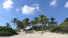 Enlarge photo 4017