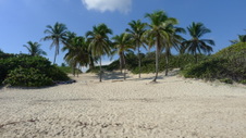 Enlarge photo 4018
