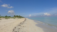 Enlarge photo 4019