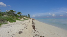 Enlarge photo 4021