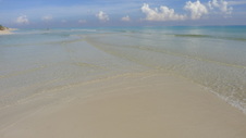 Enlarge photo 4023