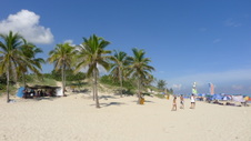 Enlarge photo 4029